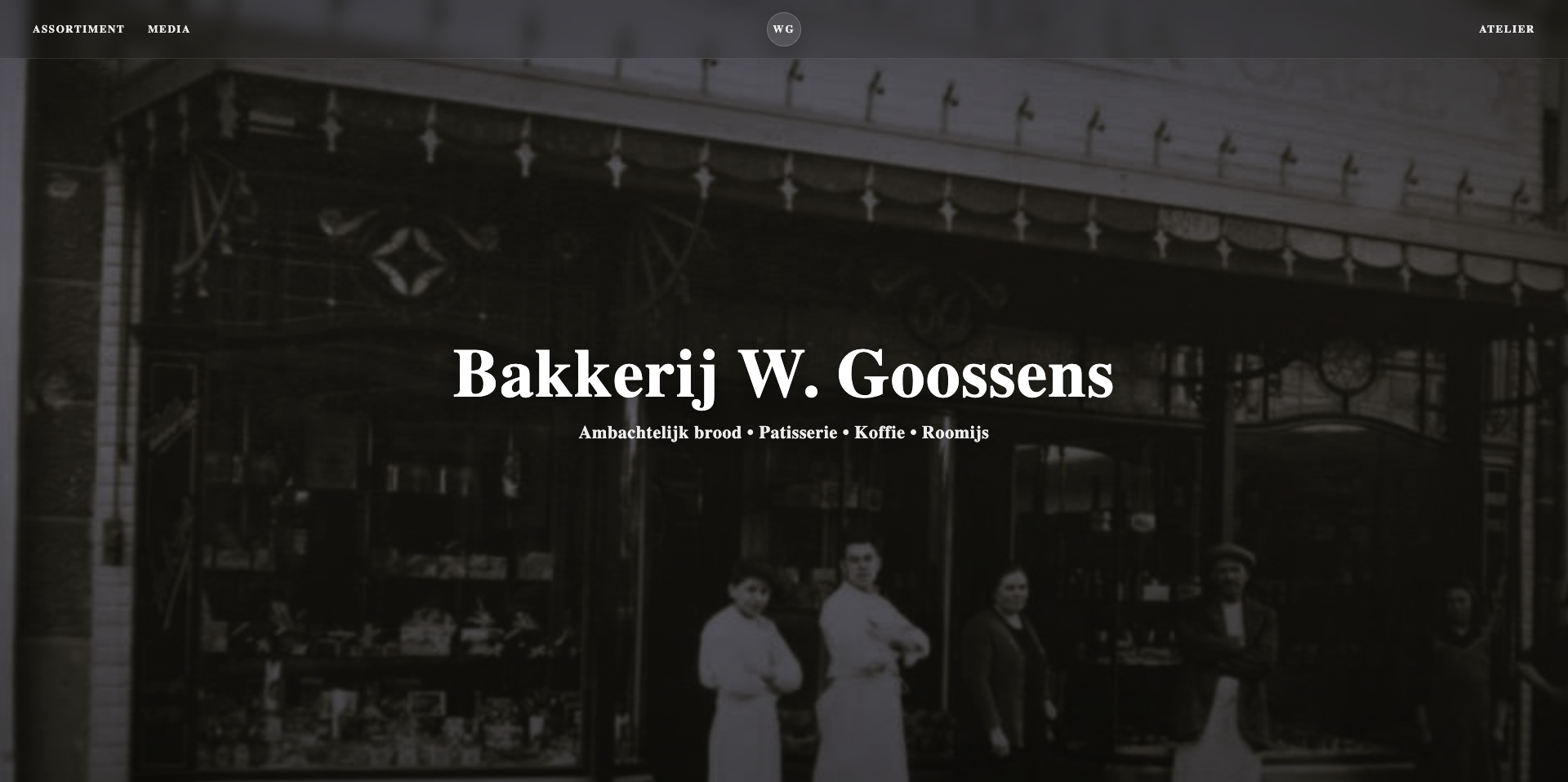 Preview van de website (1)